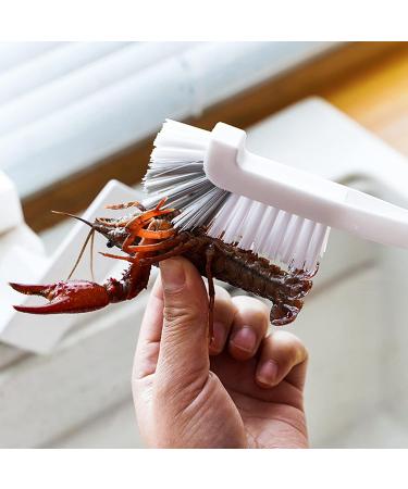 2PCS Dish Brush Set Kitchen Cleaning Brush for Corners and Edges Bottle Bathroom Grout Scrub Brushes Sink Brushes with Handle for Cleaning Small Spaces Dishes Household Use - Buy Online on GoSupps.com