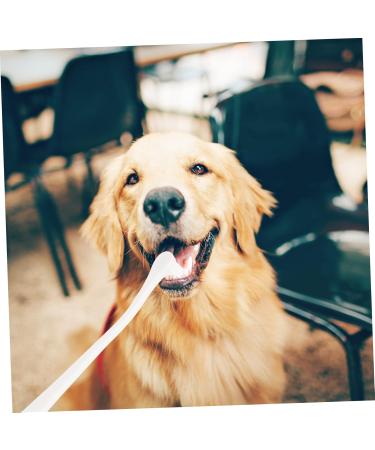 Angoily 2pcs Supplies Tools Cleaners Tooth Pets Teeth Manual Cat Portable Puppy Home Dog Care Soft-bristle 1 count (Pack of 1) White - Buy Online on GoSupps.com