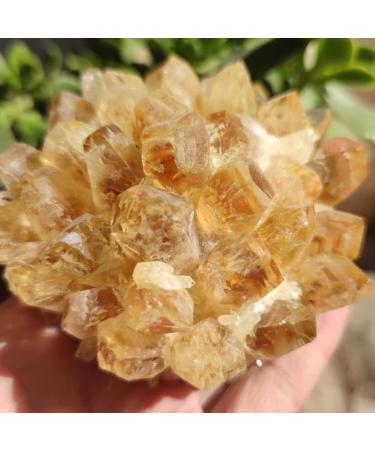 Crystals and Stones Natural Raw Citrine Quartz Crystal Cluster Yellow Irregular Specimen Home Decoration Aquarium Ornaments Crystal Cluster (Color : Yellow Size : 300-400g) 300-400g Yellow - Buy Online on GoSupps.com