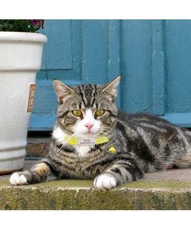 Senristar Personalized Reflective Cat Collar 2-Pack | Custom Breakaway Cat Collars with Name Tag & Bell | Anti-Loss Design for Cats | Fits Neck 20-28 cm - Yellow - Buy Online on GoSupps.com
