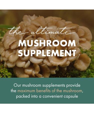 PURE ESSENCE LABS MyPure Maitake Mushroom Powder Supplement - Immune Support & Stress Relief for Energy Boost - 1 Month Supply - Buy Online on GoSupps.com