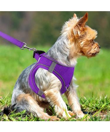 Buy Joytale Reflective Dog Harness for Small Dogs | Soft Padded Air-Mesh Solutions | Purple Size S (38-42cm) - International Shipping Available - Buy Online on GoSupps.com