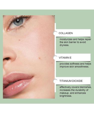  Niesel Complexion Cushion Moisturizing Concealer CC Water Resistant Luminous Cream with Air Cushion and Seborrhea Control for Quick Makeup - Buy Online on GoSupps.com
