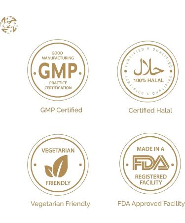 Multivitamins for Women - Halal | Gluten-Free | Vegetarian Friendly | Manufactured in Canada| GMP Certified | - Iron Vitamin D3 B Vitamins and Antioxidant Vitamins C and E - Nourish Hair Skin & Nails - 60 count - Buy Online on GoSupps.com