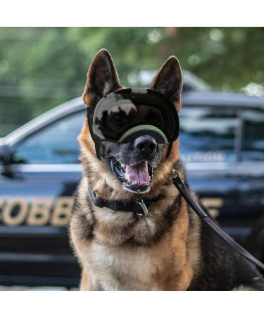 NAMSAN Dog Goggles Medium-Large Breed | UV Dog Sunglasses | Magnetic Clear Black Lens | Windproof Pet Glasses - Buy Online on GoSupps.com