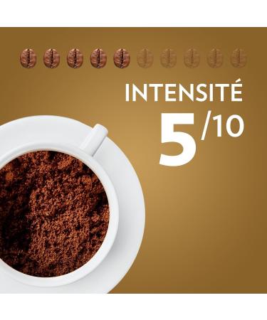 LAVAZZA - Caf Moulu Qualit Oro 5Kg - Caf italien - 100% Arabica - quilibr & Aromatique - Intensit 5-20x250 g - Buy Online on GoSupps.com