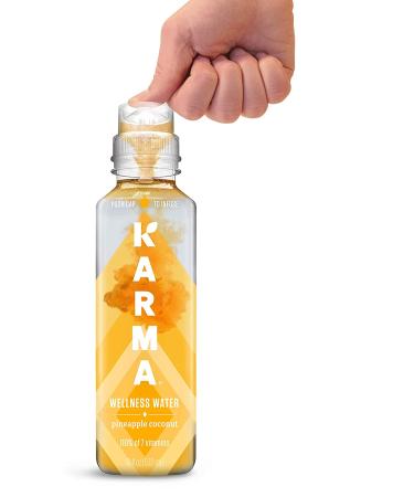 Karma Wellness Pineapple Coconut Flavored Vitamin Water - 216 Fl Oz (Pack of 12) | Green Tea, Magnesium, Antioxidants | Low Calorie Hydration - Buy Online on GoSupps.com