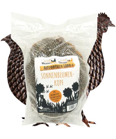 WachtelGold- Sunflower head - 1 piece - ideal activity for quails