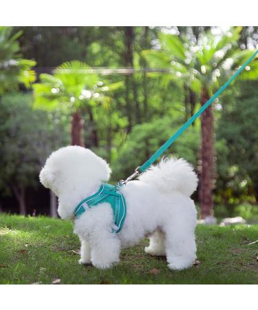 Buy Green Padded Dog Harness for Medium & Small Dogs - Comfortable Puppy Harness for Optimal Fit - Buy Online on GoSupps.com