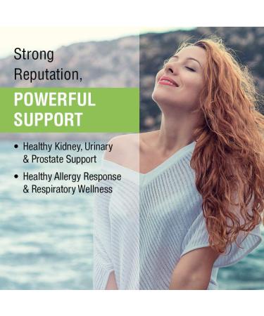 Solaray Nettle Leaf 300mg Capsules for Kidney, Urinary & Prostate Support - 100 CT - Buy Online on GoSupps.com