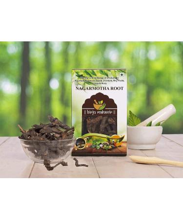 QURA Nagarmotha Cyperus Rotundus Rhizome naturel 100 g (BMPL-348) - Buy Online on GoSupps.com