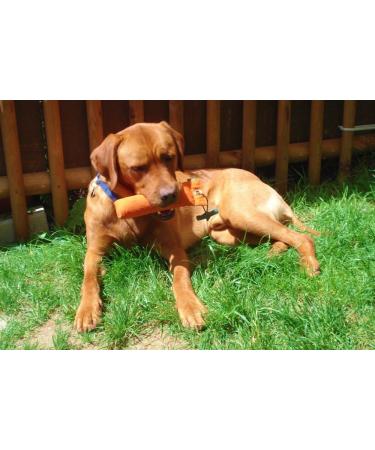 Romneys Standard Dummy 500g Green - Floatable & Unsinkable Dog Training Fetch Toy | International Shipping Available - Buy Online on GoSupps.com