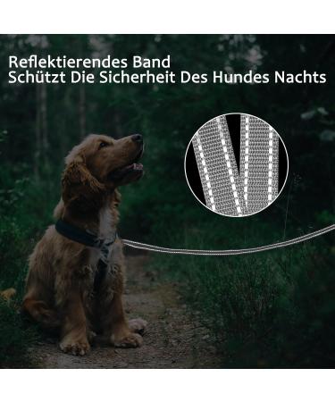 Demigreat Reflective Dog Leash - 3m/5m/10m/15m/20m Robust Training Line with Padded Handle for All Dog Sizes - 50ft Gray - Buy Online on GoSupps.com