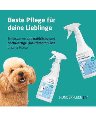Dog Care24 Stain & Smell Remover Spray 1L | Powerful Odor Neutralizer for Pet Urine Feces Vomit & Sweat - Natural Cleaner for Dogs & Cats - Buy Online on GoSupps.com