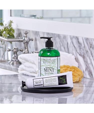 Archipelago Botanicals Morning Mint Hand Wash - Gentle Daily Soap, Cleanse and Hydrate (17 fl oz) - Buy Online on GoSupps.com