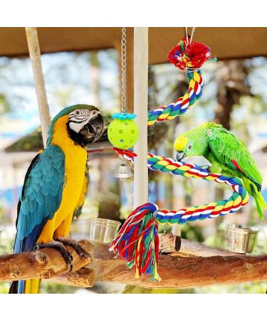 6 PCS Small Bird Swing Toys - Natural Wood & Rope Bungee Bird Toy for Parrots, Parakeets, Cockatiel, Conure, & Other Small Birds - Buy Online on GoSupps.com