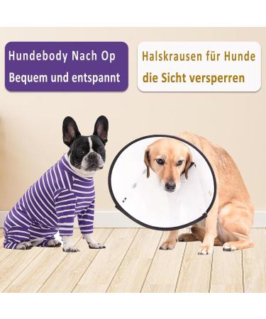 Axcimond Long-Sleeved Dog Body - Post-Op Wound Protection for Small & Medium Dogs | Anti-Leak Pajama Suit - Purple - Buy Online on GoSupps.com