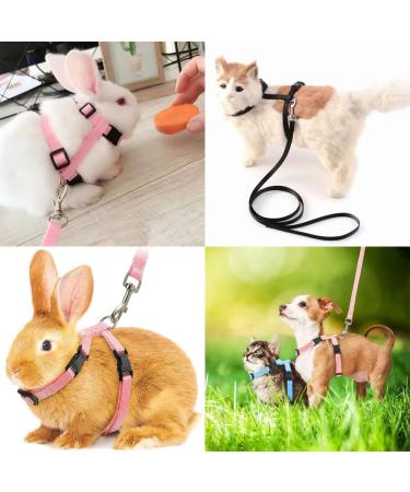 Yutou Soft Cat Dishes & Adjustable Leash Set - Outbreak-Proof Harness for Kittens Puppies & Rabbits - Buy Online on GoSupps.com