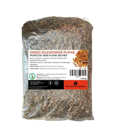 Ma Poule Express Dried Silkworms Pupae Chicken Silkworms Pupae Dried All Natural Bird Food The Ultimate Bird Food High Protein for Wild Birds (5 Lbs)