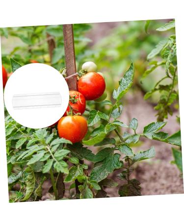 Toddmomy Vessel Tools 6 Pcs Square Cucumber Molds Vegetables Fruit Growing Molds Gardening Supplies Ginseng Fruit Gourd - Buy Online on GoSupps.com