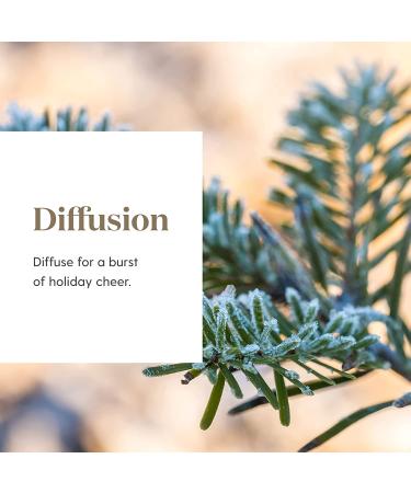 Young Living Christmas Spirit Essential Oil Blend - Festive 5 ml Warm & Spicy Scent - Buy Online on GoSupps.com