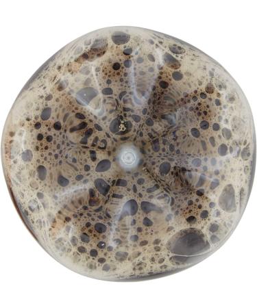 Cola-Cola Zero Sugar Free Zucchini Pack of 6 Italian Non-Alcoholic Drink PET 1Lt Coca Cola - Buy Online on GoSupps.com