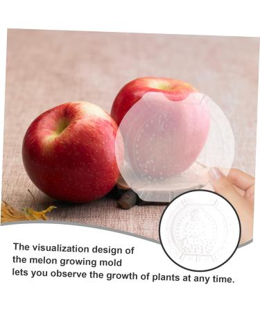 Kisangel 4 Pcs Vegetable Shaping Mold Fruit Shaping Mold Melon Mold Cantaloupe Square Watermelon Plastic - Buy Online on GoSupps.com