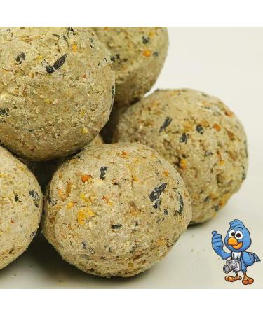 BusyBeaks Suet Fat Balls Premium Garden Wild Bird Food Enhanced Year Round Formula Naturally Blended High in Energy and Protein-Rich Feed Full of Fresh Nutritious Fat Fibre & Moisture (2.5L Tub) 1 count (Pack of 1) - Buy Online on GoSupps.com