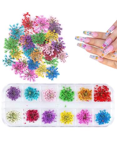 1 Box Dried Flowers for Nail Art  UNIME 12 Colors Dry Flowers Mini Real Natural Flowers Nail Art Supplies 3D Applique Nail Decoration Sticker for Tips Manicure Decor (Gypsophila)