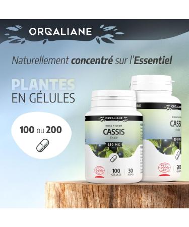 Organic blackcurrant leaf 200 capsules - Buy Online on GoSupps.com