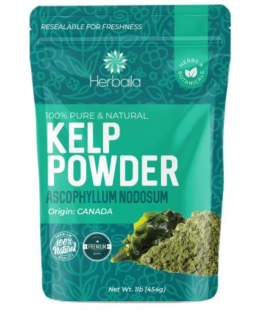 Kelp Powder 1 Lb, Natural Iodine Supplement (High Fiber) Raw Kelp Seaweed Extract from Canada, 100% Pure, non-GMO, Gluten-free & Kosher