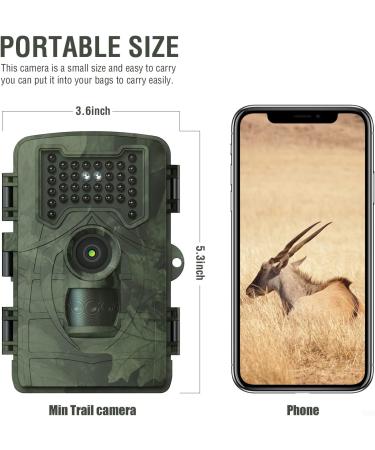 Buy Aomiun 36MP Wild Camera | 1080P Motion Detector & Night Vision | IP54 Waterproof Hunting Camera with 34 Infrared Lights - Buy Online on GoSupps.com