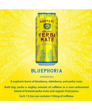 Guayaki Yerba Mate Organic Drink Bluephoria 15.5 Ounce Cans (Pack of 12) 150mg Caffeine Alternative to Coffee Tea and Energy Drinks - Buy Online on GoSupps.com