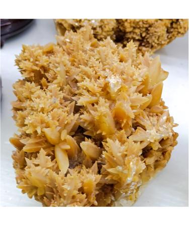 Natural Crystal Rough 1pc Oversized Natural Yellow Calcite Cluster coarse Specimen Crystals Quartz Flower Cluster Beautiful Home Decor Decoration (Size : 1200-1400g) - Buy Online on GoSupps.com