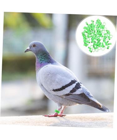 Levemolo 100 Pcs Pigeon Anklet Chicken Thighs Numbered Opening Pigeon Ring Chicken Foot Ring Baby Drumstick 1.3X1.3CM Green - Buy Online on GoSupps.com