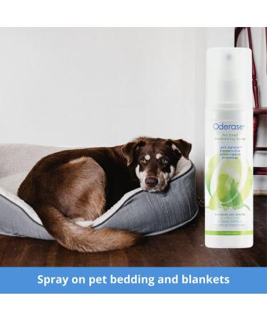 Pet Smell Neutralising Spray - Effective Odor Eliminator for Pets - 100ml - Buy Online on GoSupps.com