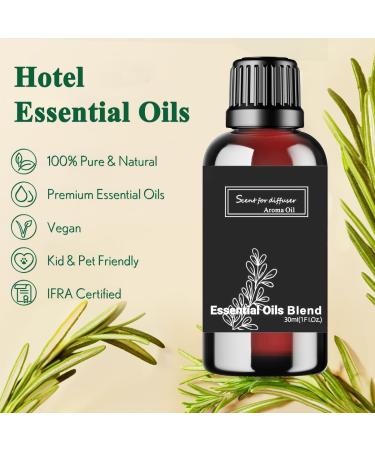 Elegant Charisma Essential Oil Inspired by Shangri-La Hotel for Diffusers, Pure Hotel Diffuser Oil, Cedarwood and Sandalwood, Home Luxury & Hotel Scent - 30ML - Buy Online on GoSupps.com