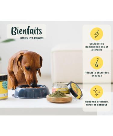 Wolf Belly - 100% Natural Anti-Itch Probiotic for Dogs (60 g) Soothes Atopic Dermatitis and Eczema Brewer's Yeast Powder Rich in Omega 3 and Vitamin B Healthy Skin - Made in Europe - Buy Online on GoSupps.com