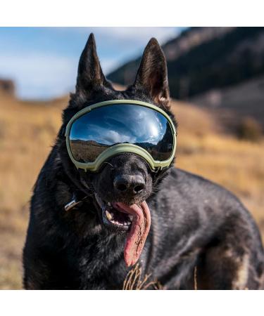 Rex Specs V2 Dog Goggles - Medium Yazberry | Protective Eyewear for Dogs - Buy Online on GoSupps.com