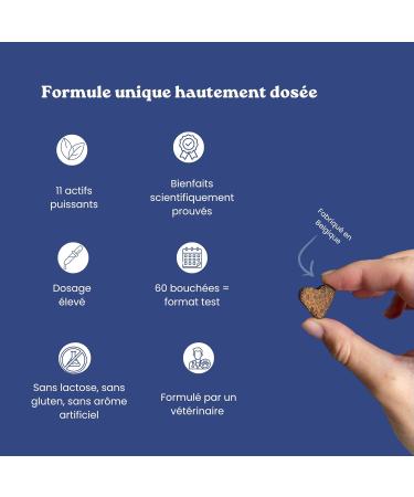 Dog Arthrosis - 60 bites - 11 natural active ingredients (Glucosamine Chondroitin MSM green lipped mussel devil's claw) - Dog Joints - Anti-inflammatory - Dog food supplement - Buy Online on GoSupps.com