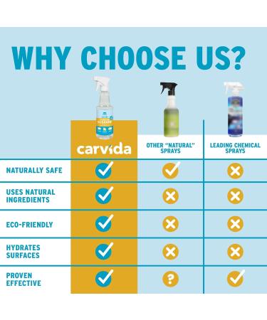 Vinegar Cleaner - Plant-Based Multi-Purpose Automotive Spray | Natural Mint Scent | 16oz - Eco-Friendly Cleaning Solution for International Shipping - Buy Online on GoSupps.com