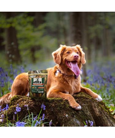 HULK Pet Products 6-inch Bully Sticks for Dogs (Pack of 10) - Natural Scent & Long Lasting Dog Dental Chew Made of Beef Pizzle Sourced from Grass-Fed Cattle with No Artificial Flavor 22.5 g (Pack of 10) - Buy Online on GoSupps.com
