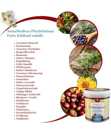 Swissmedicus Horse Balm with 25 Herbs - Extra-Strong Cooling Relief for Muscles Joints & Back - 500ml (1 Pack) - Buy Online on GoSupps.com