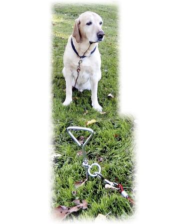 Buy Kerbl 83543 Mooring Spiral 8mm x 40cm with 5mm x 6m Running Line - Durable Marine Solution for International Shipping - Buy Online on GoSupps.com