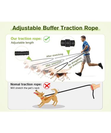 Pecute Two Jogging Lines for Medium & Large Dogs | Elastic Running Leash with Belt Bag | Up to 100kg | Durable Dog Leash in Gray - Buy Online on GoSupps.com