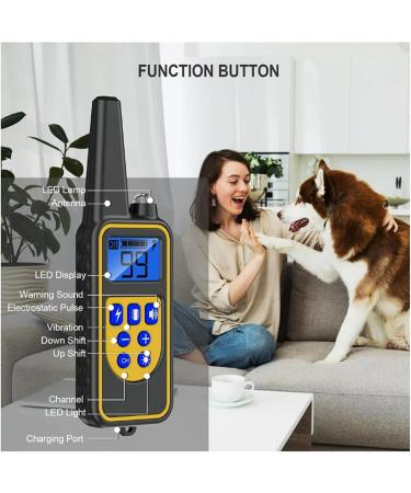 Buy Classic Nylon Dog Collars - Breathable Waterproof Easy to Handle for All Sizes | International Shipping Available - Buy Online on GoSupps.com