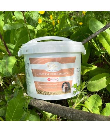 PRINCE EQUIN - COMPLEXE PERFORMANCE - Horse nutritional supplement - Bucket 1 kg - Fenugreek Chlorella Vitamin C - Horse muscle development - Energy - French brand - Buy Online on GoSupps.com