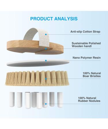 Round Dry Brushing Body Brush for Cellulite, Lymphatic Drainage & Circulation | Soft Massage Nodes for Exfoliation - Buy Online on GoSupps.com