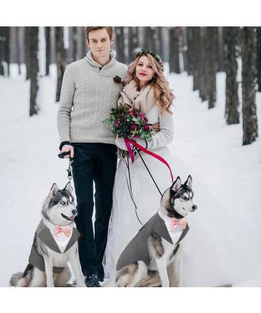 Kuoser Dog Smoking Suit & Bandana Set - Stylish Pet Formal Wear for Weddings Halloween & Birthdays - Comfortable Costume for Dogs S-XXL (29 cm Gray) - Buy Online on GoSupps.com