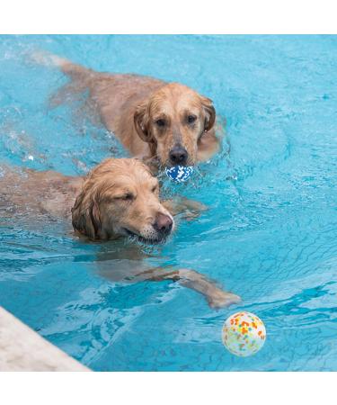 2 Pack Dog Ball Toys Indestructible Dog Toys Balls High Bounce Rubber Dog Balls Durable Solid Interactive Ball Resistant Teeth Training Dog Toys for Small Medium Large Dog Puppy Water Jump Fetch Play 2 Pcs-Orange+Blue - Buy Online on GoSupps.com